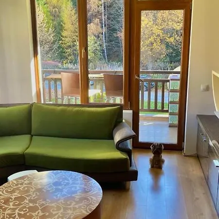Hils Apartament Апартамент *