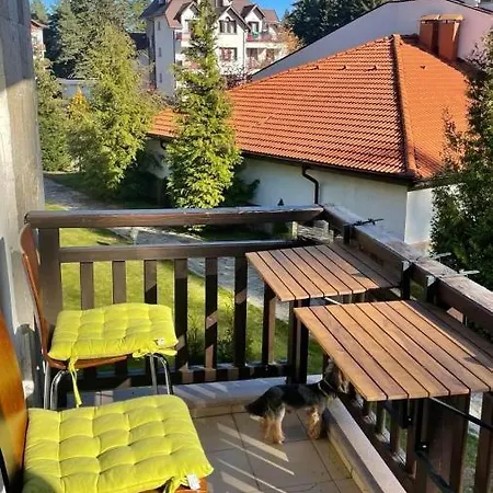 Hils Apartament